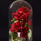 Initiale Name - Ewige Rose Im Glas