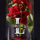 Initiale Name - Ewige Rose Im Glas