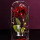 Initiale Name - Ewige Rose Im Glas