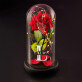Initiale Name - Ewige Rose Im Glas