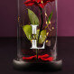 Initiale Name - Ewige Rose Im Glas