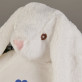 Initialen + Datum - Maskottchen mit Stickerei