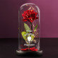 Du bist meine Inspiration - Ewige Rose Im Glas
