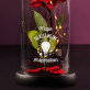 Du bist meine Inspiration - Ewige Rose Im Glas