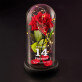 Seite kalender - Ewige Rose Im Glas