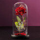 Perfekte frau - Ewige Rose Im Glas