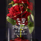 Perfekte frau - Ewige Rose Im Glas