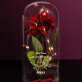 Nicht von dieser Welt - Ewige Rose Im Glas