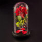Nicht von dieser Welt - Ewige Rose Im Glas