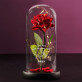 Nicht von dieser Welt - Ewige Rose Im Glas