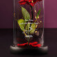 Nicht von dieser Welt - Ewige Rose Im Glas