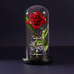 Ich liebe dich 2 - Ewige Rose Im Glas