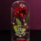 Ich liebe dich 2 - Ewige Rose Im Glas