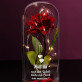 ich liebe dich am meisten - Ewige Rose Im Glas