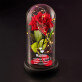 ich liebe dich am meisten - Ewige Rose Im Glas