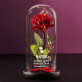 ich liebe dich am meisten - Ewige Rose Im Glas