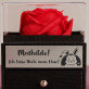 Ich liebe Dich, mein Hase - Ewige Rose in einer Schachtel