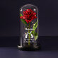 Ich liebe Dich, mein Hase - Ewige Rose Im Glas