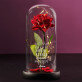 Ich liebe meine Mama - Ewige Rose Im Glas