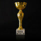 bester Pilzsammler - Goldpokal