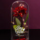 King & queen - Ewige Rose Im Glas