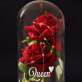 Queen - Ewige Rose Im Glas