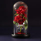 Queen - Ewige Rose Im Glas