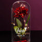 Queen - Ewige Rose Im Glas