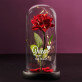 Queen - Ewige Rose Im Glas