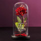 Jahre zusammen - Ewige Rose Im Glas