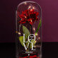 Love - Ewige Rose Im Glas