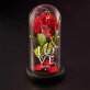 Love - Ewige Rose Im Glas