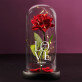 Love - Ewige Rose Im Glas
