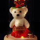 Mama du brings - Ewige Rose mit Teddybär