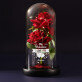My Valentine - Ewige Rose Im Glas