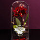 My Valentine - Ewige Rose Im Glas
