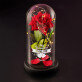 My Valentine - Ewige Rose Im Glas