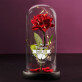My Valentine - Ewige Rose Im Glas