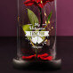 My Valentine - Ewige Rose Im Glas