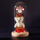 My valentine - Ewige Rose mit Teddybär