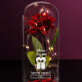 mein herz - Ewige Rose Im Glas