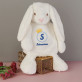 Monogramm 2 - Maskottchen mit Stickerei
