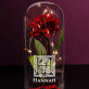 Monogramm - Ewige Rose Im Glas