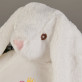 Monogramm - Maskottchen mit Stickerei