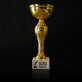 Beste Sängerin - Goldpokal
