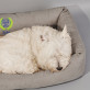 Bester hund der welt - Hundebett