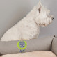 Bester hund der welt - Hundebett