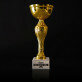Bester Chef - Goldpokal