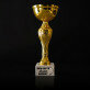 Bester Angler - Goldpokal