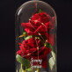 Unser Datum - Ewige Rose Im Glas